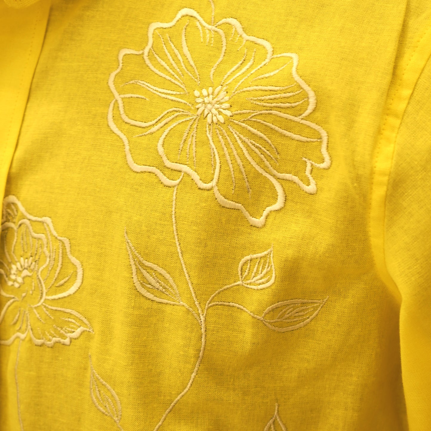 California Poppy